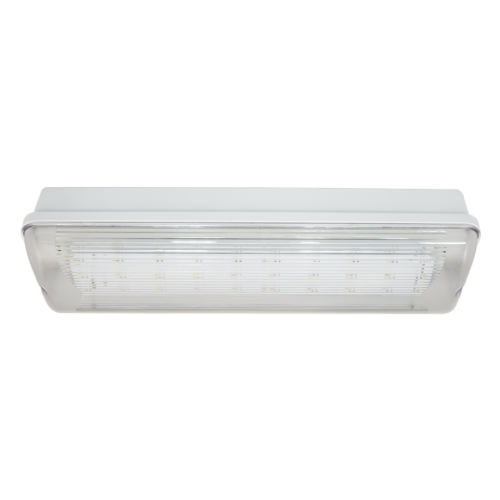 Аварийный светильник автономный SL-213-30LED1.8 (исп. 1)