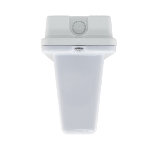 Аварийный светильник автономный SL-213-30LED1.8 (исп. 2)