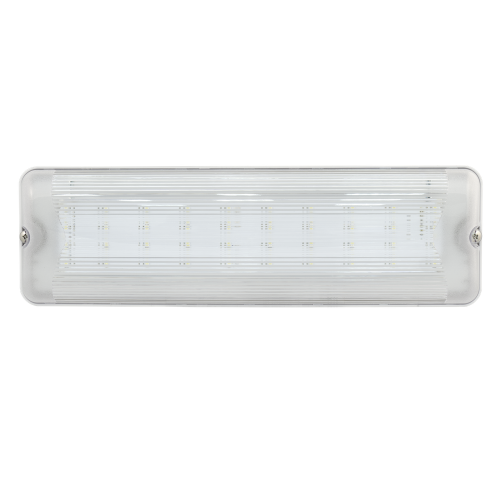 Аварийный светильник автономный SL-223-30LED1.8 (исп. 1)