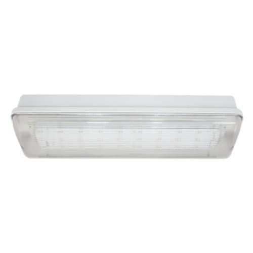 Аварийный светильник автономный SL-223-30LED1.8 (исп. 1)