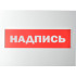 Сменное табло 'Излучение' для светоуказателя Молния