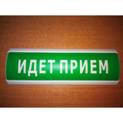Светоуказатель Люкс-12 (12В) 