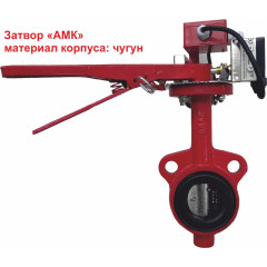 Затвор дисковый 3т 65/1,6(Р)-Ф.УЗ.1-